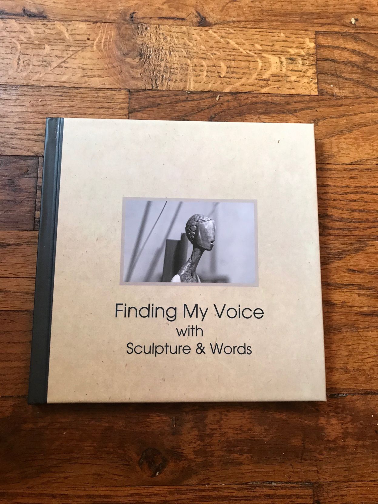 'Finding my Voice' by Janet Pretti
